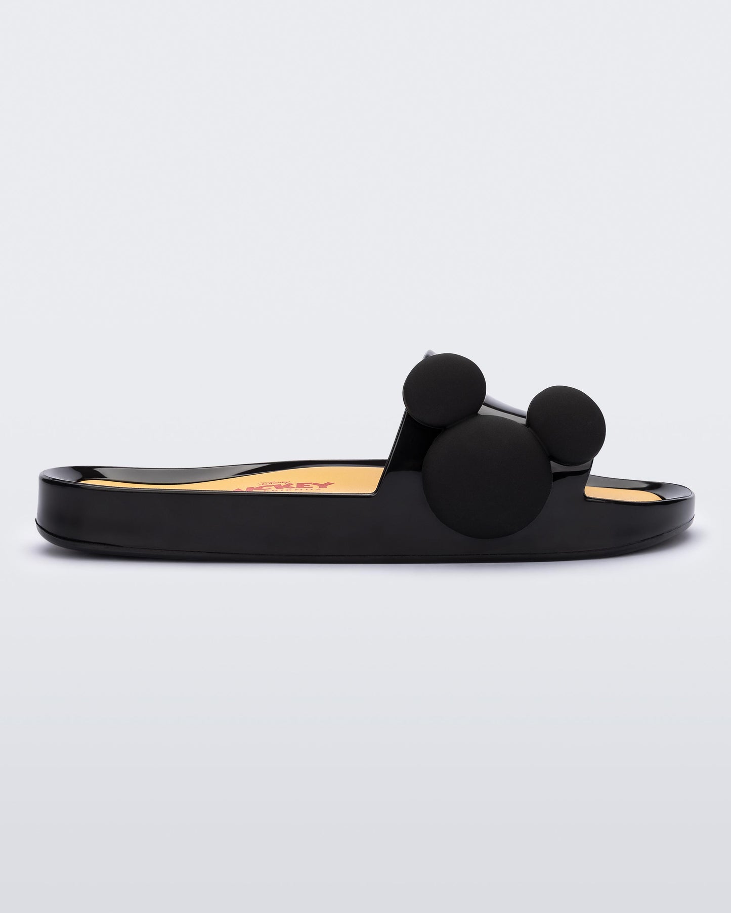 Melissa Beach Slide + Mickey and Friends