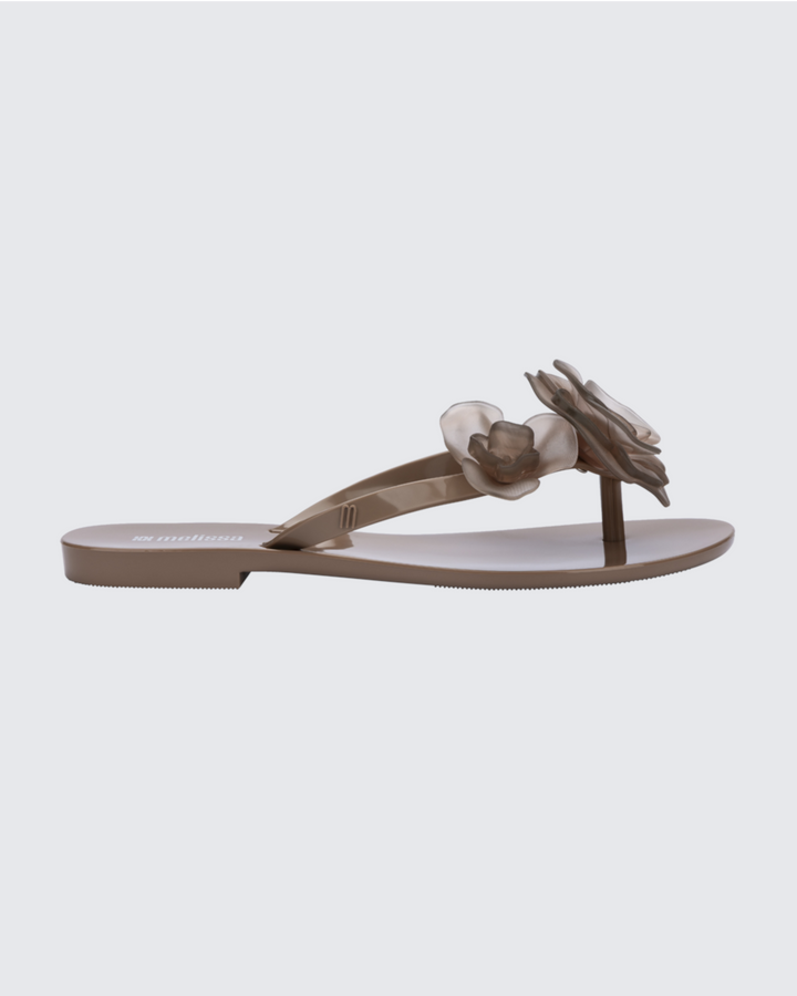 Melissa Harmonic Petals